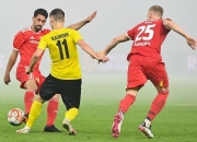 爱游戏网页版-斯特拉斯堡球员表现抢眼，成为球队核心的简单介绍