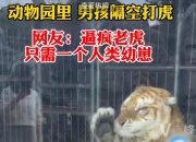 爱游戏在线登录-初生牛犊不怕虎，热身赛挑战再升级