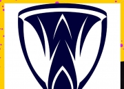 爱游戏官网-争夺胜利，亚冠比赛不容错失任何机会