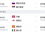 爱游戏在线登录-塞尔维亚队备战全力以赴，渴望晋级欧洲杯