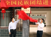 爱游戏官网入口-广西队团结一心积极作战，一路领先取胜的简单介绍