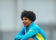 爱游戏官网-南美洲球员表现出色，备战国内联赛