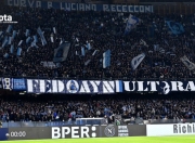 爱游戏登录-那不勒斯再度击败某支低级别球队