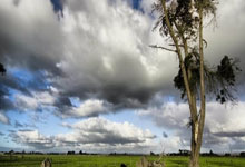 爱游戏网页版入口-弗赖堡客场战平霍芬海姆，团队士气迎来新高峰