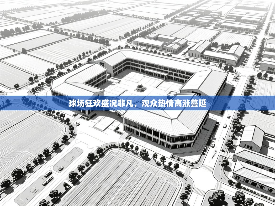 球场狂欢盛况非凡,观众热情高涨蔓延 第2张