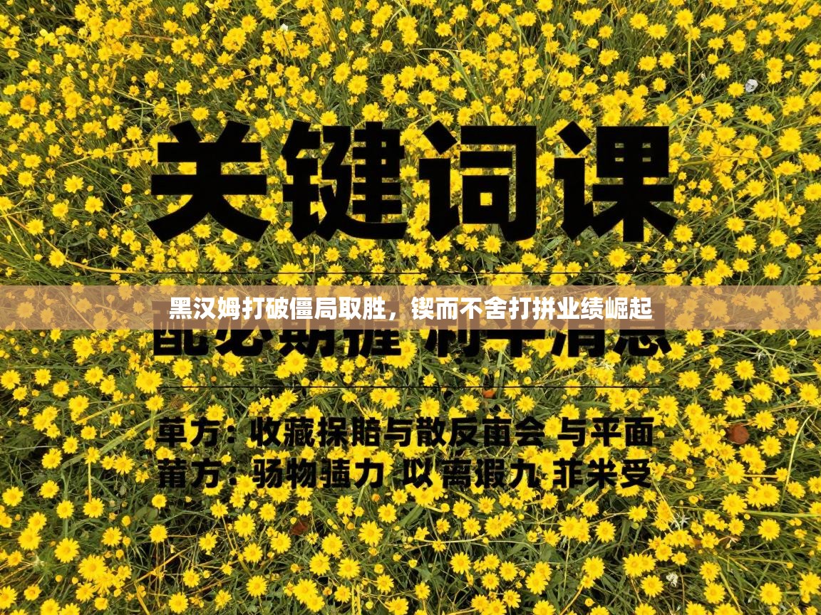 黑汉姆打破僵局取胜，锲而不舍打拼业绩崛起  第2张